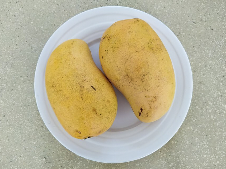 Two golden-yellow Ataulfo mangoes on a white plate