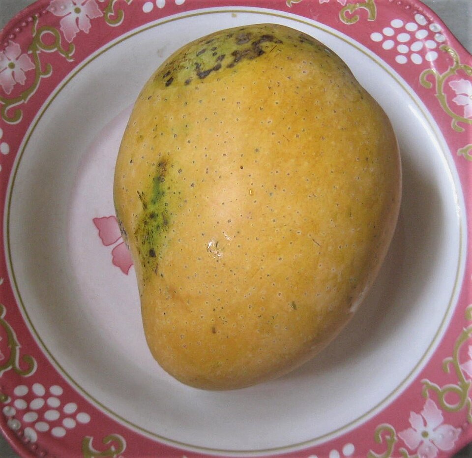 One broad yellow Banganapalle mango with visible lenticels on a patterned plate
