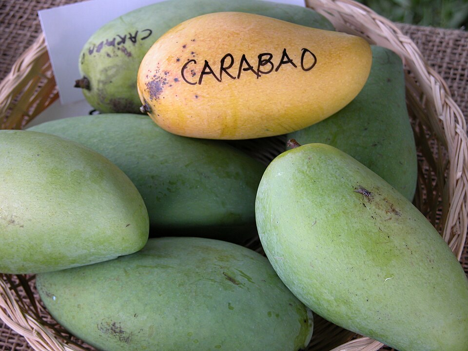 A basket of green Carabao mangoes with a yellow fruit labelled Carabao on top