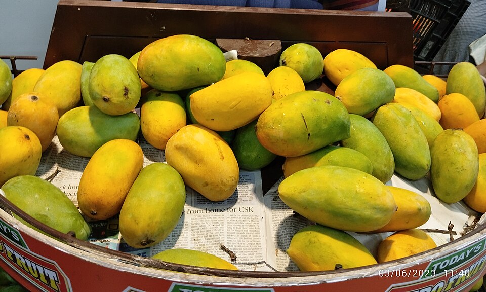 A market display of green and yellow Kesar mangoes