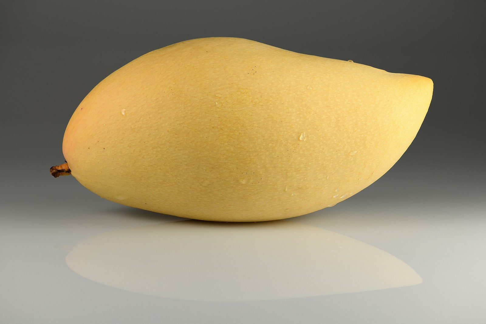 One complete elongated yellow Nam Dok Mai mango on a grey surface