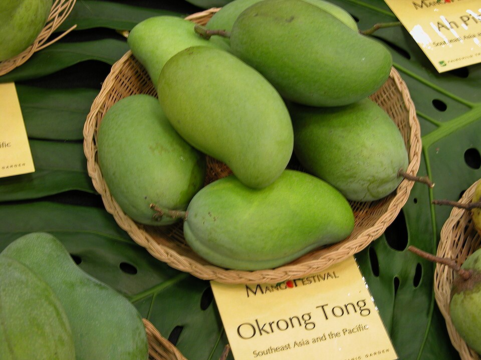 Green asymmetric mangoes in a basket with an Okrong Tong label